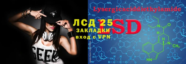 дживик Горняк
