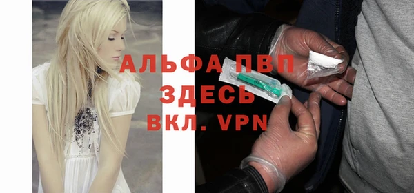 хмурый Вяземский