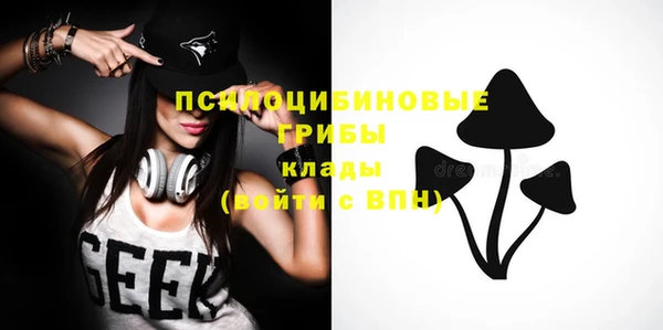 хмурый Вяземский