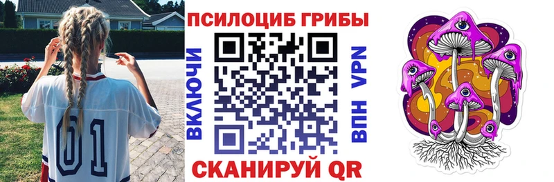 Купить где  Серов  Галлюциногенные грибы Psilocybine cubensis 